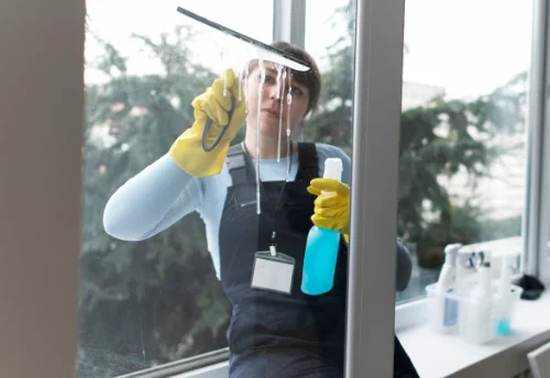 Nettoyage de vitres intérieures et extérieures à Bonnes